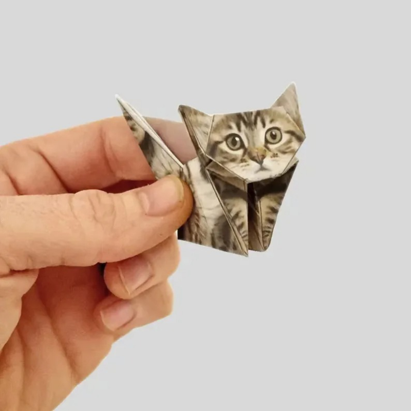 Gatos de Papel Criativos DIY,  - Art Craft Dinosaur avaliação e preço