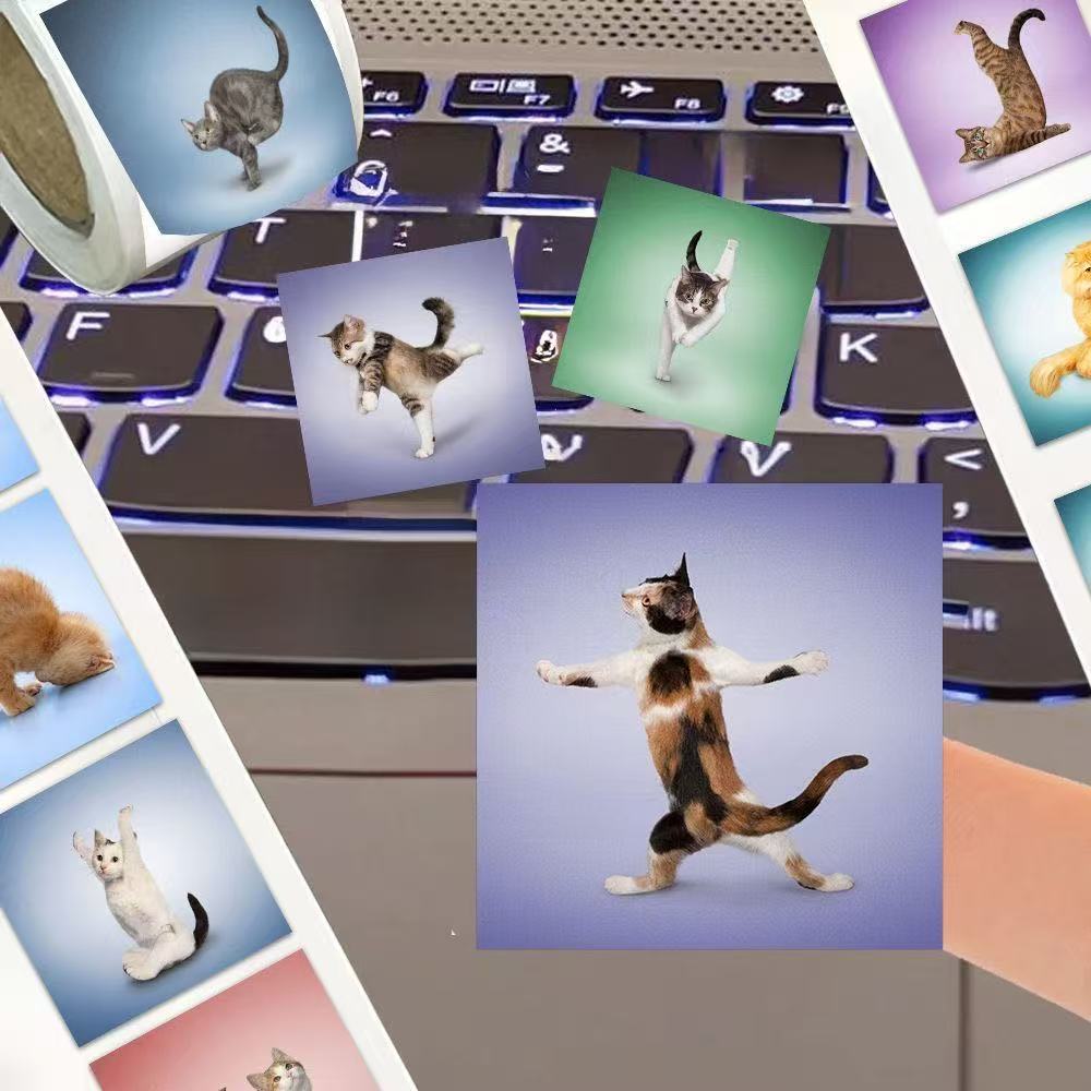 500 Adesivos de Gato Engraçado - Art Craft Journals avaliação e preço