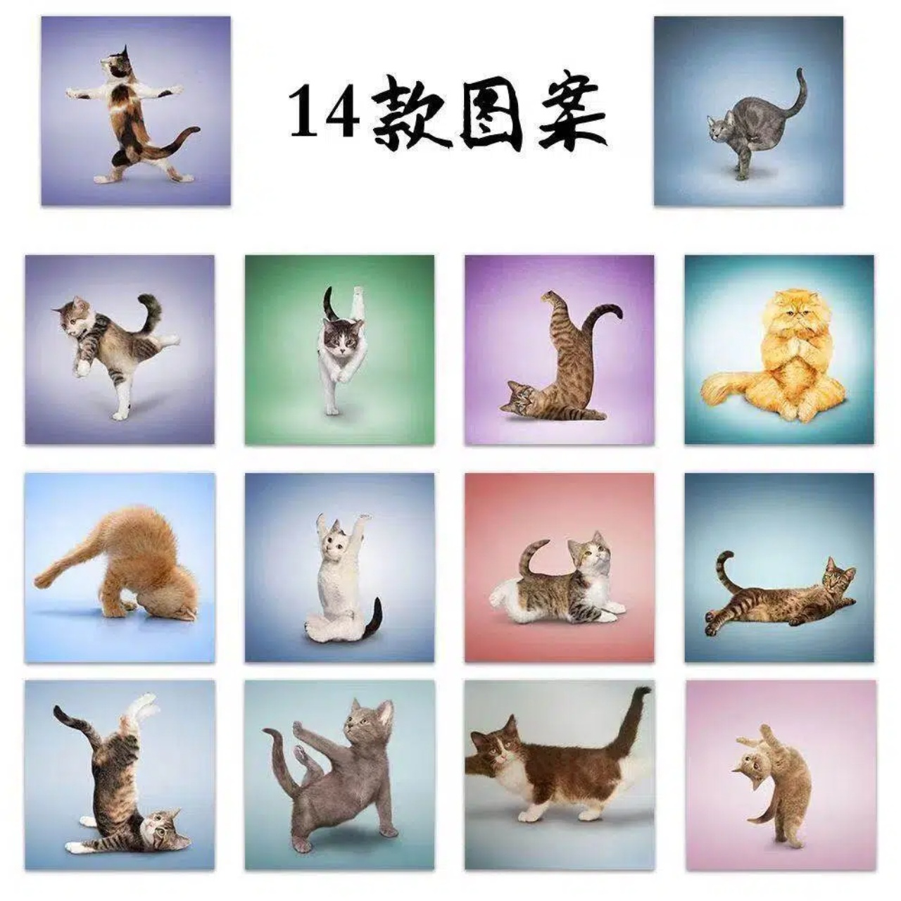 500 Adesivos de Gato Engraçado - Art Craft Journals avaliação e preço